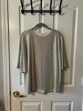 Shimmery Short Sleeve Top